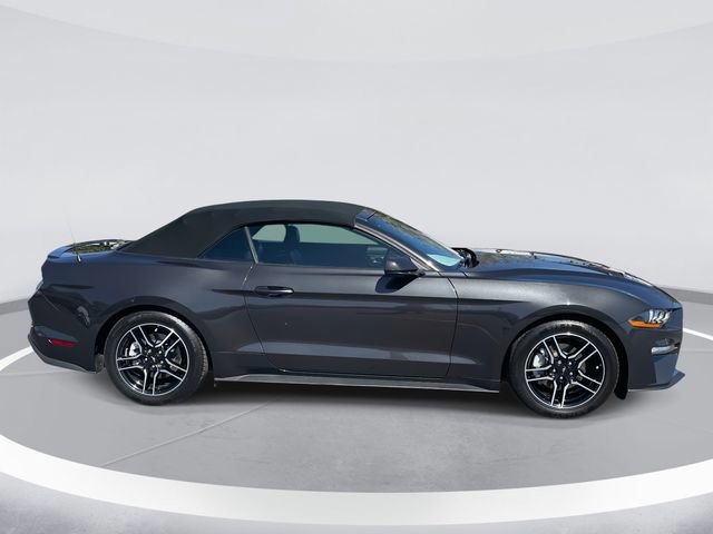 Certified 2023 Ford Mustang Premium image 2