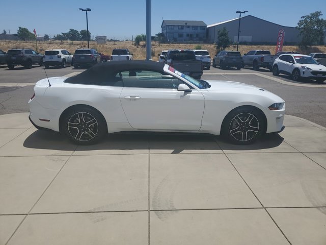 Certified 2023 Ford Mustang Premium image 6