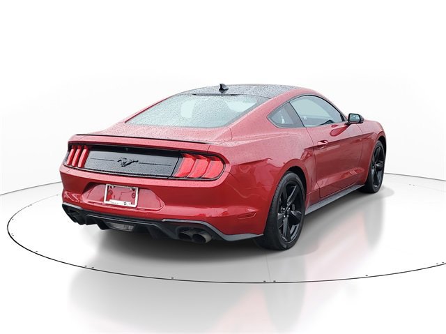Certified 2023 Ford Mustang Premium image 3