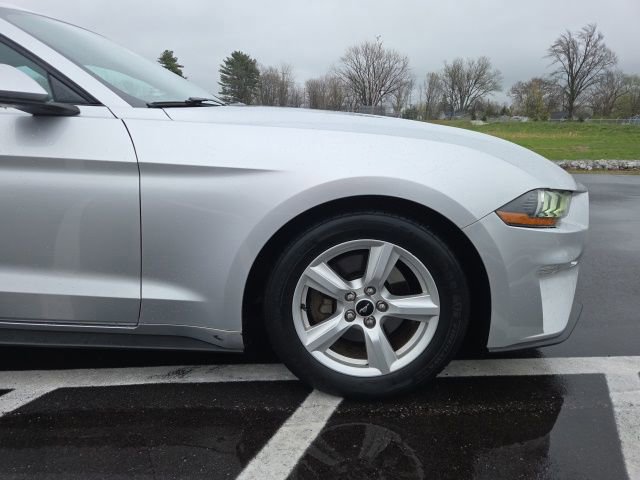 Certified 2019 Ford Mustang Coupe image 8