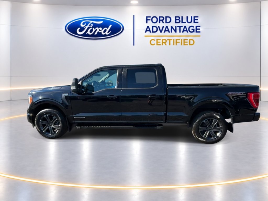 Certified 2023 Ford F150 XLT w/ Equipment Group 302A High AWD/4WD image 6