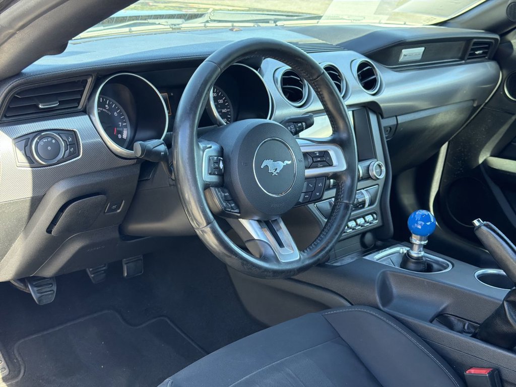 Certified 2019 Ford Mustang GT w/ Equipment Group 301A RWD image 12