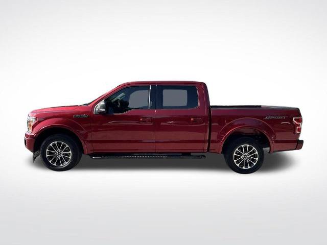 Certified 2019 Ford F150 XLT w/ Equipment Group 302A Luxury RWD image 8