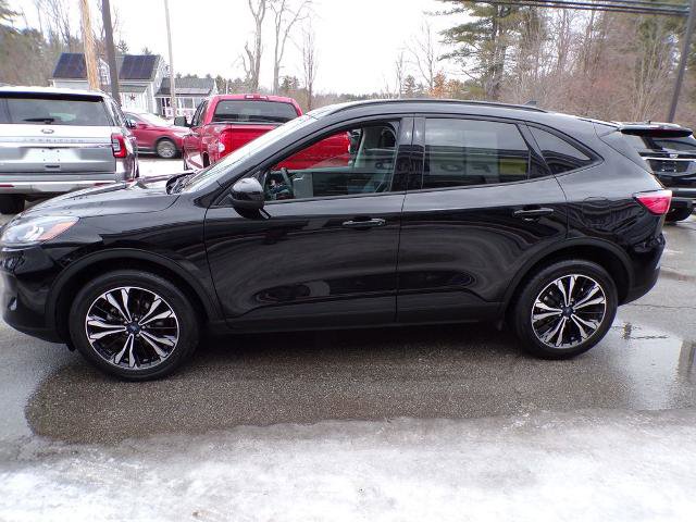 Certified 2022 Ford Escape SEL w/ SEL Stealth AWD Package image 4