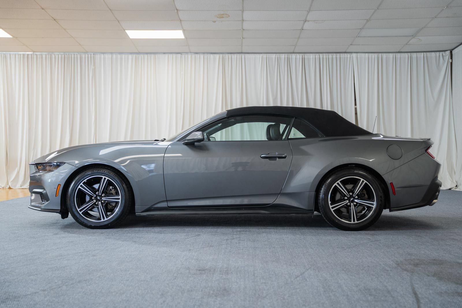 Certified 2025 Ford Mustang Premium RWD image 4