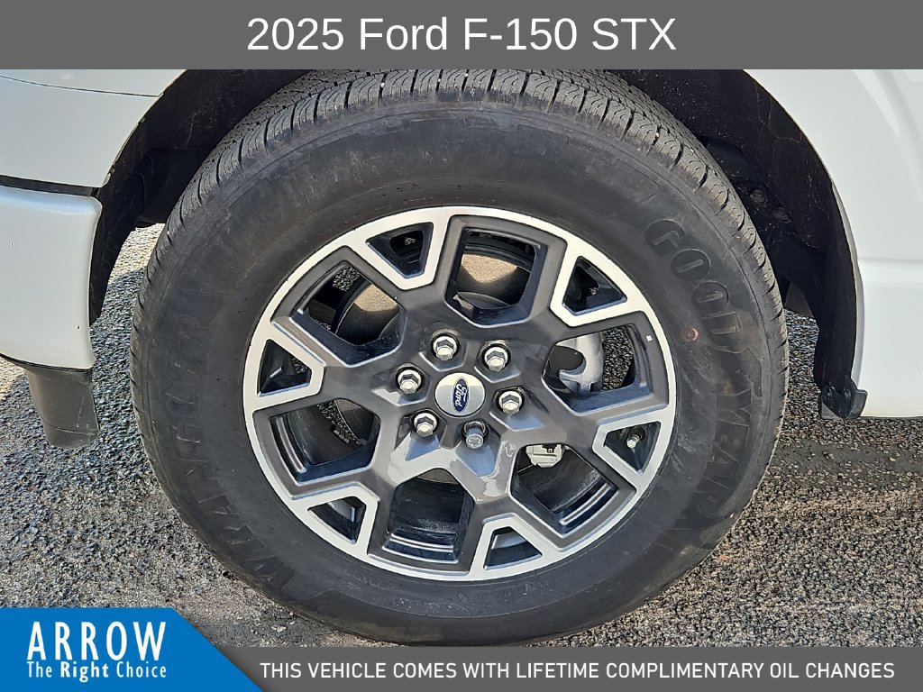 Certified 2025 Ford F150 STX w/ Equipment Group 200A RWD image 17