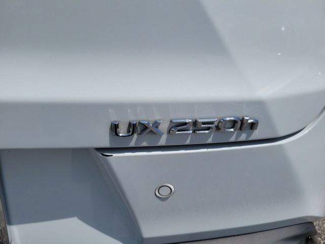 Used 2024 Lexus UX 250h F Sport FWD image 5