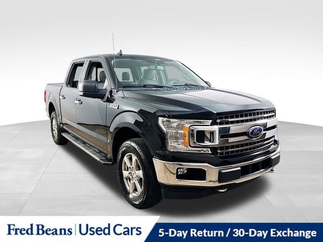 Certified 2019 Ford F150 XLT w/ Equipment Group 302A Luxury image 6