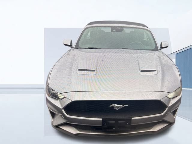 Certified 2021 Ford Mustang EcoBoost w/ Equipment Group 101A image 14