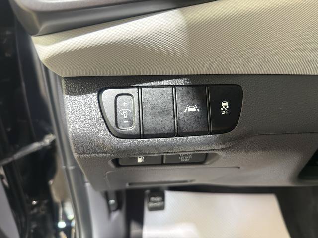 Used 2020 Hyundai Ioniq Blue FWD image 12