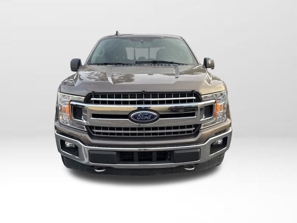 Certified 2019 Ford F150 XLT w/ Equipment Group 302A Luxury image 4