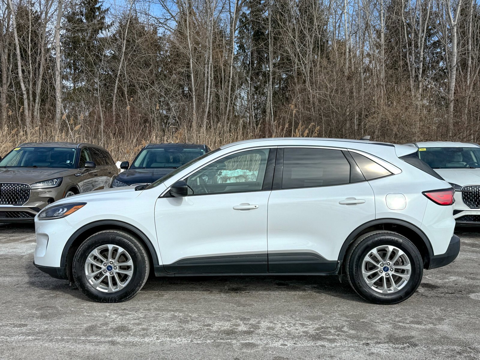 Certified 2022 Ford Escape SE w/ Convenience Package image 6