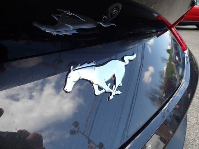 Certified 2024 Ford Mustang Premium image 10