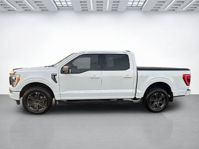 Certified 2023 Ford F150 XLT w/ Equipment Group 302A High AWD/4WD image 6