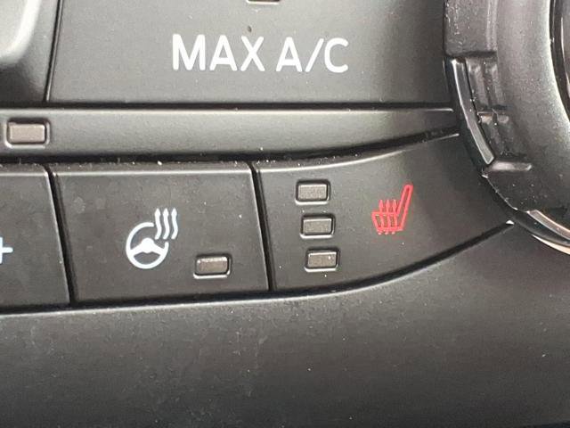 Certified 2024 Ford Bronco Sport Badlands w/ Premium Package AWD/4WD image 18