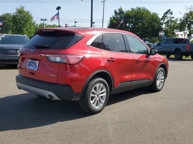 Certified 2022 Ford Escape SE w/ Convenience Package AWD/4WD image 4