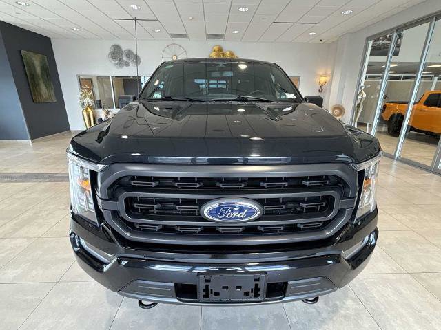 Certified 2023 Ford F150 XLT w/ Equipment Group 302A High AWD/4WD image 8