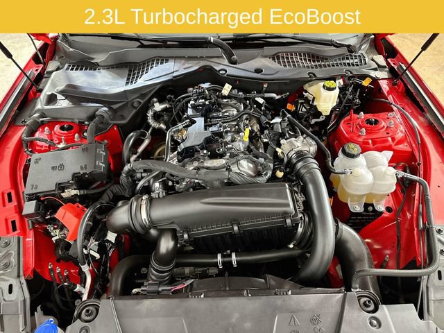 Certified 2025 Ford Mustang Premium RWD image 32