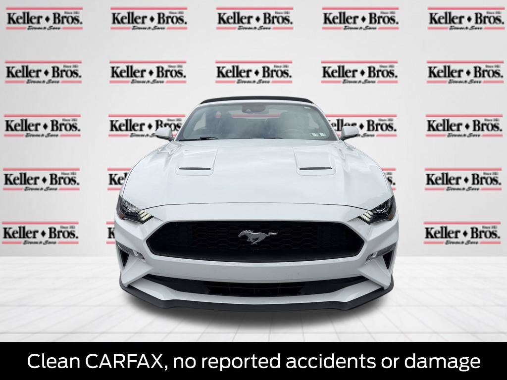 Certified 2019 Ford Mustang Premium w/ Equipment Group 201A RWD image 2