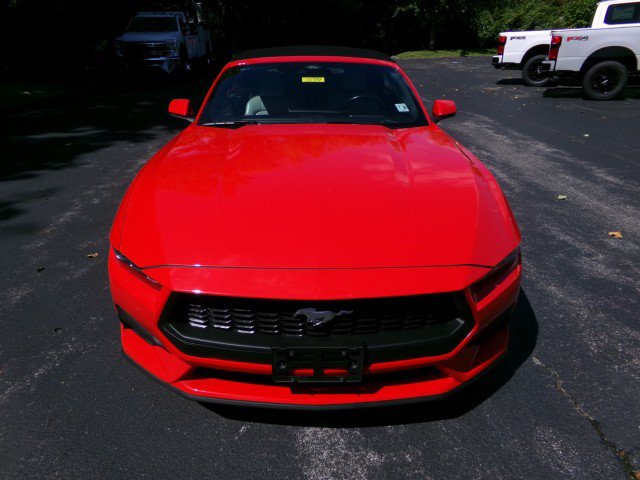 Certified 2024 Ford Mustang Premium RWD image 4