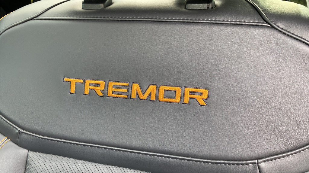 Certified 2025 Ford Expedition Tremor AWD/4WD image 38