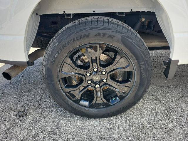 Certified 2022 Ford F150 XL w/ STX Black Appearance Package AWD/4WD image 7