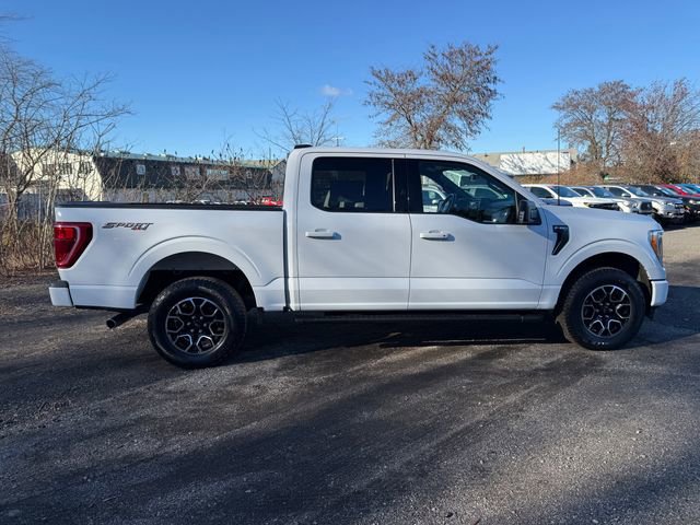 Certified 2022 Ford F150 XLT w/ Equipment Group 302A High image 3