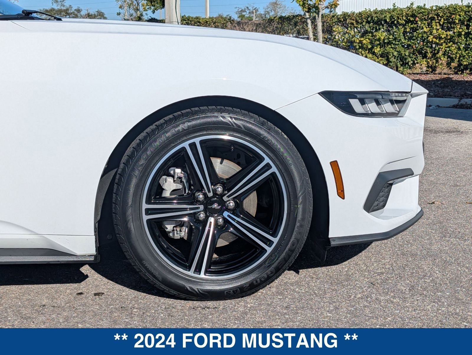 Certified 2024 Ford Mustang Premium image 11