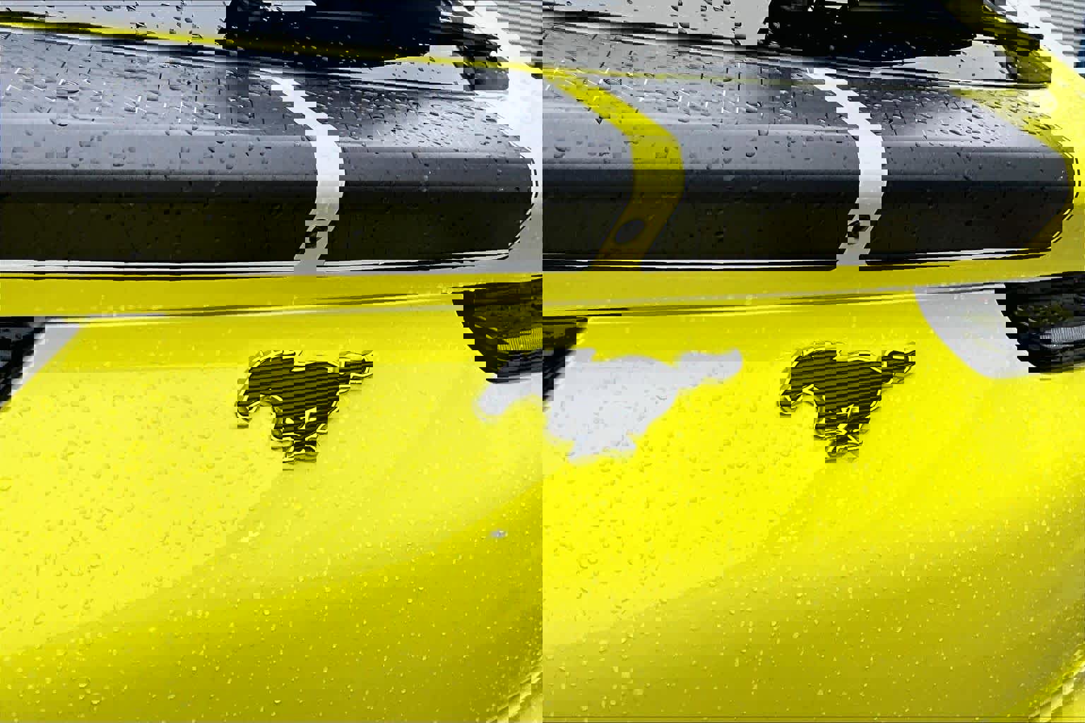 Certified 2025 Ford Mustang Mach-E GT w/ Interior Protection Package image 30