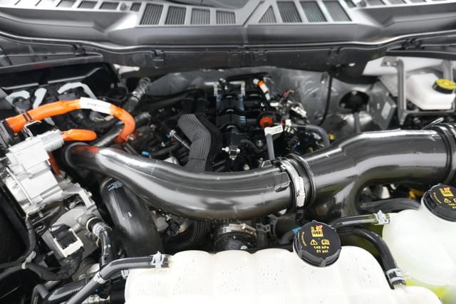 Certified 2025 Ford F150 XLT w/ Equipment Group 301A Standard image 29