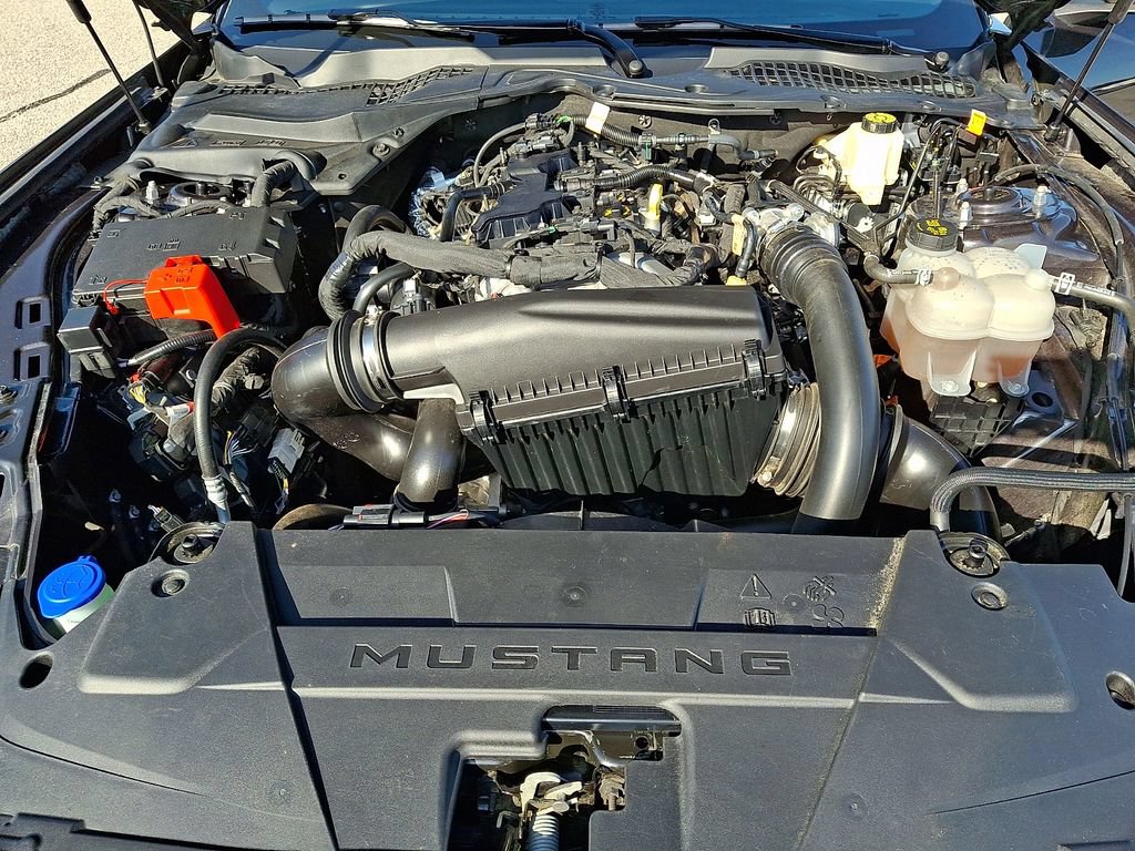 Certified 2024 Ford Mustang Premium RWD image 29