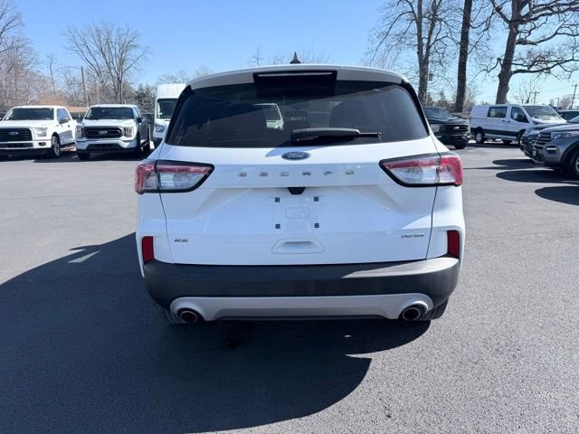 Certified 2022 Ford Escape SE w/ Convenience Package image 4
