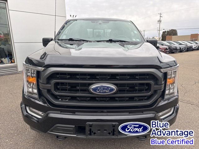 Certified 2023 Ford F150 XLT w/ Equipment Group 302A High image 3