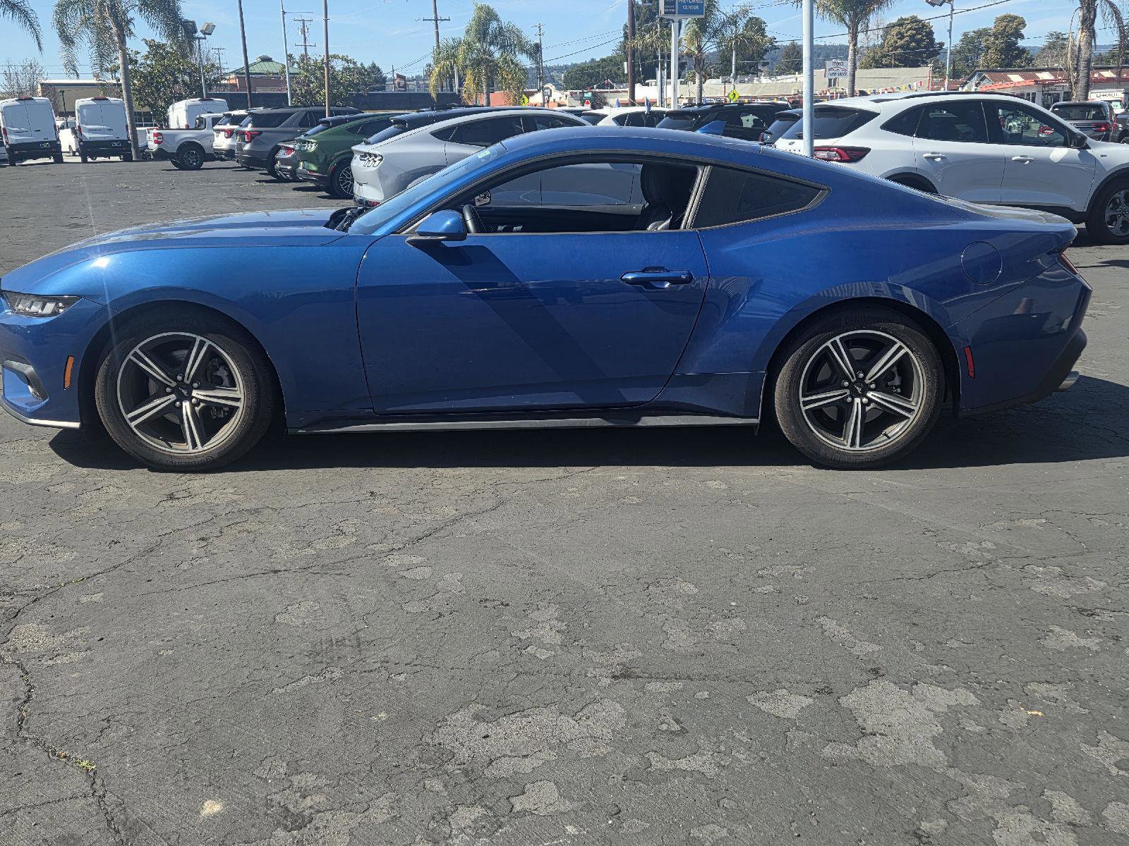 Certified 2024 Ford Mustang EcoBoost image 8