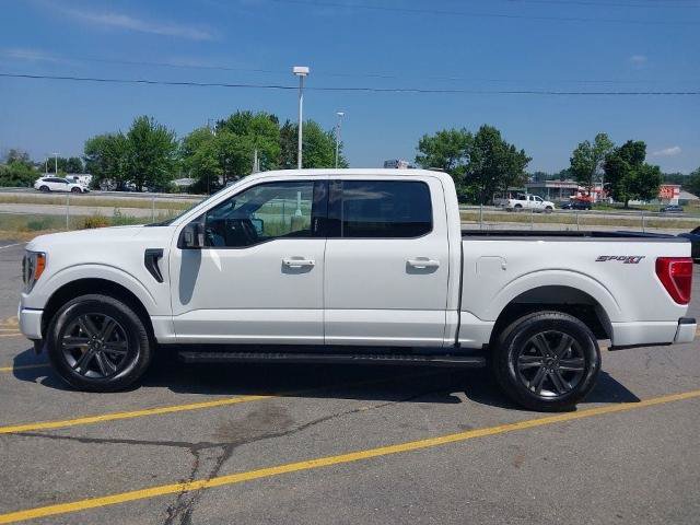 Certified 2023 Ford F150 XLT w/ Equipment Group 302A High AWD/4WD image 5