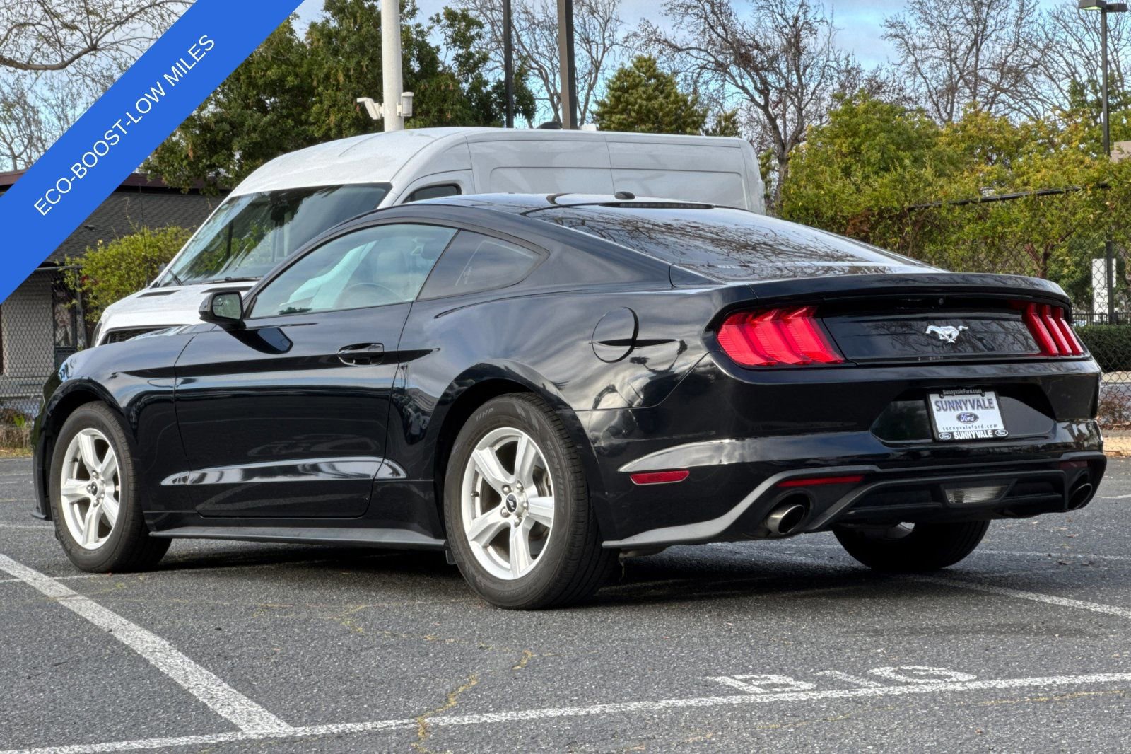 Certified 2019 Ford Mustang EcoBoost image 3