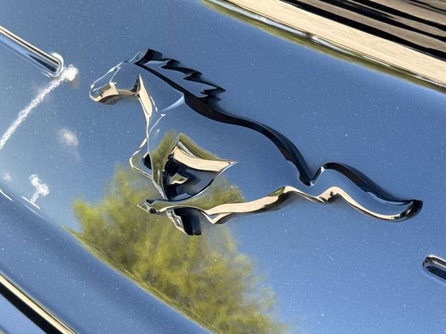 Certified 2023 Ford Mustang Premium w/ Equipment Group 201A image 10
