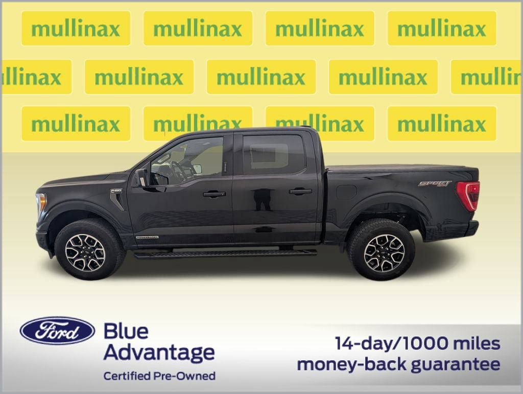 Certified 2023 Ford F150 XLT w/ Equipment Group 302A High video 2