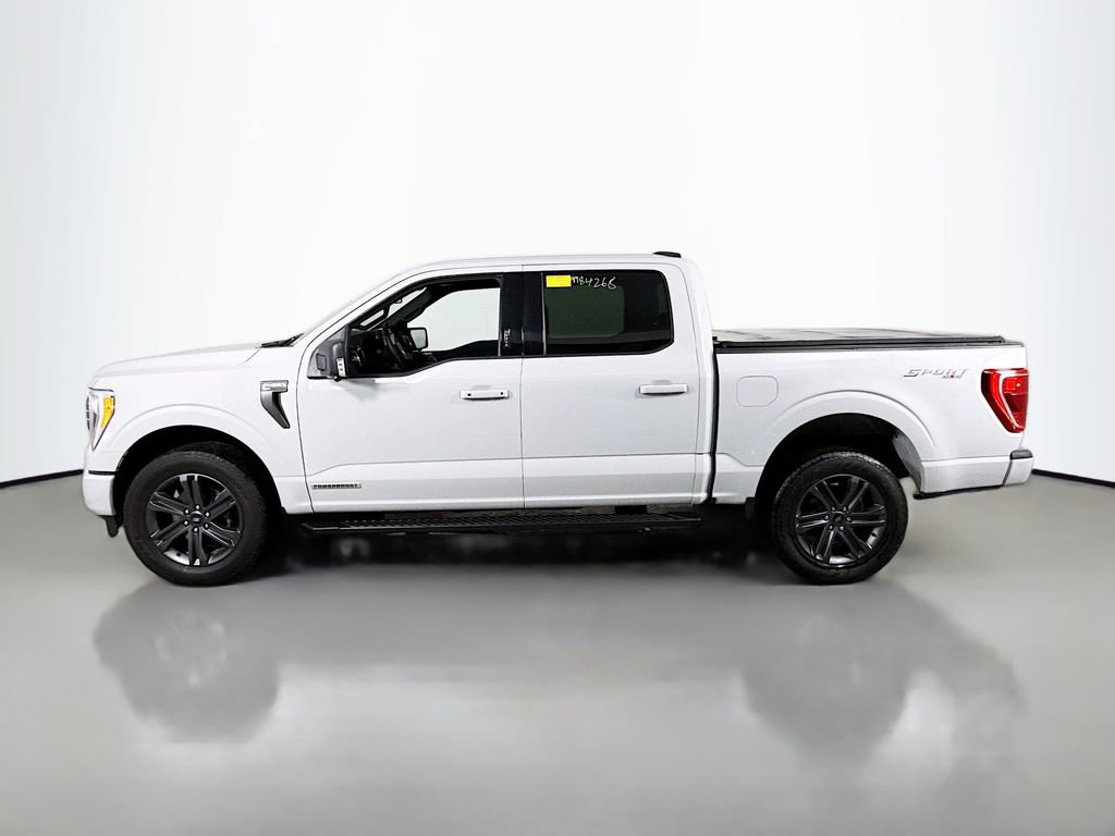 Certified 2023 Ford F150 XLT w/ Equipment Group 302A High image 4