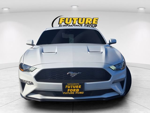 Certified 2023 Ford Mustang Coupe w/ Equipment Group 101A RWD image 2