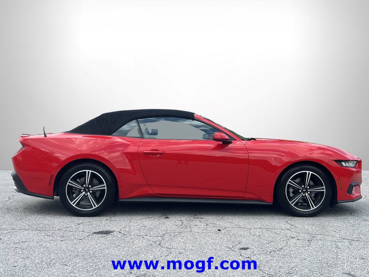 Certified 2024 Ford Mustang Premium RWD image 24