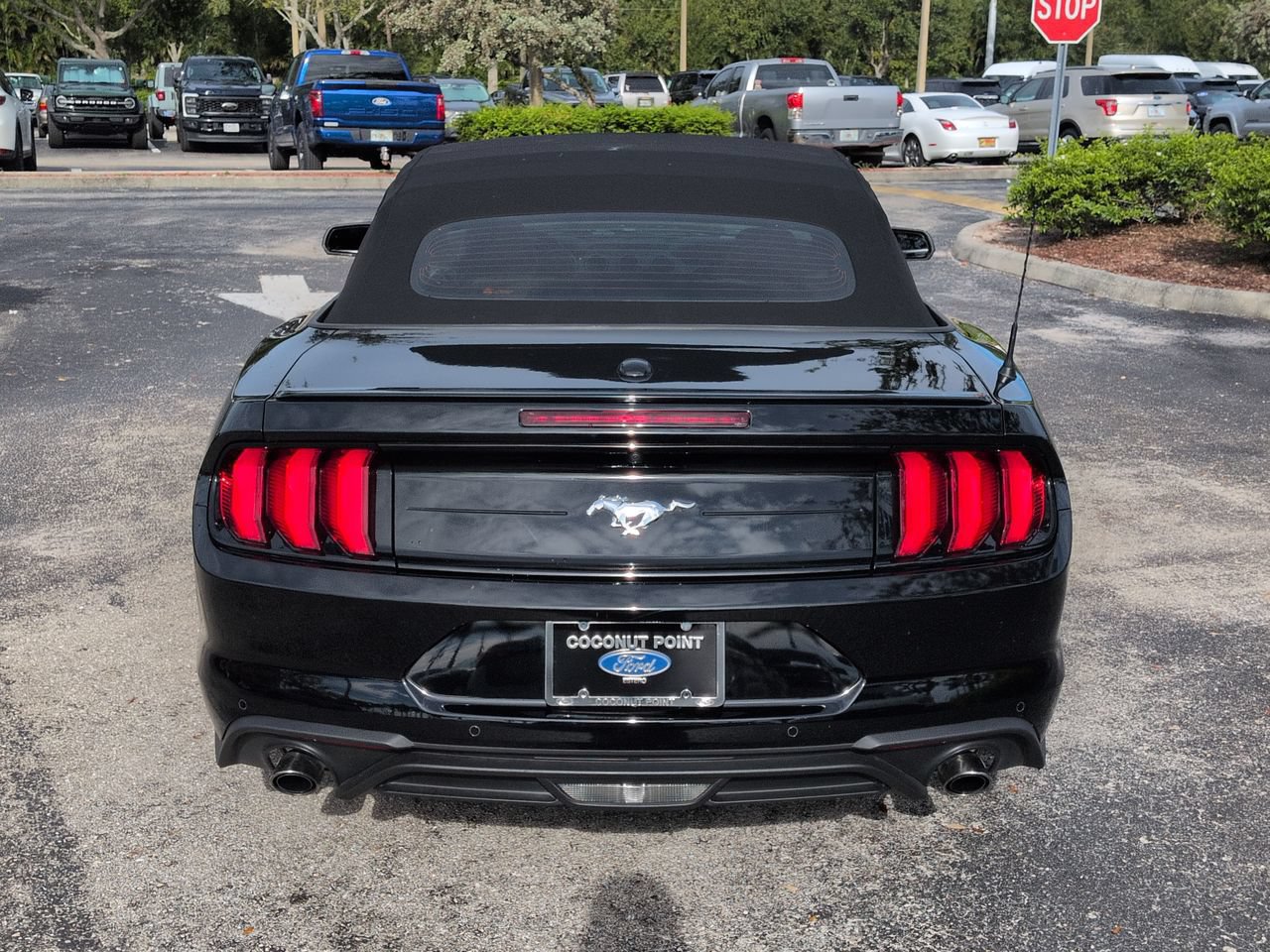 Certified 2020 Ford Mustang Premium w/ Equipment Group 201A RWD image 5