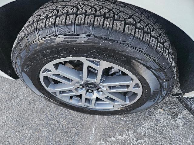 Certified 2025 Ford Expedition Active image 10