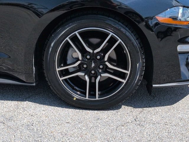 Certified 2019 Ford Mustang Premium RWD image 11