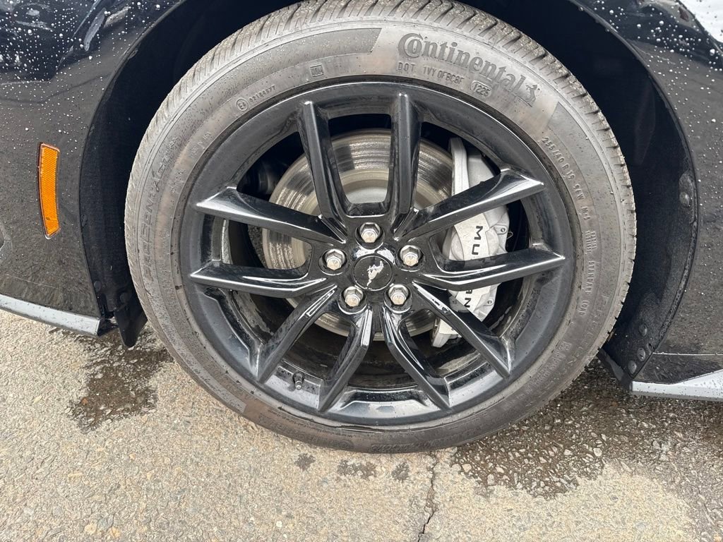 Certified 2025 Ford Mustang GT Premium image 14