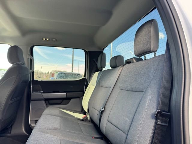 Certified 2025 Ford F150 XLT w/ Equipment Group 301A Standard image 11