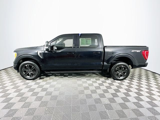 Certified 2021 Ford F150 XLT w/ Equipment Group 302A High image 8