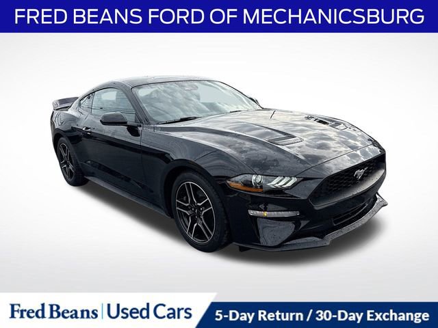 Certified 2023 Ford Mustang Coupe w/ Equipment Group 101A image 7