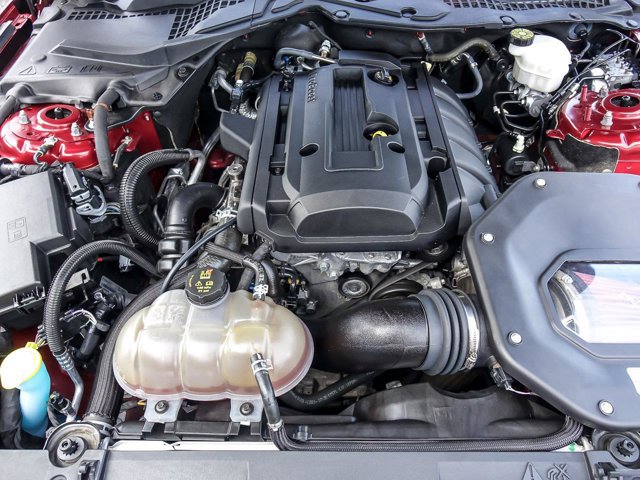 Certified 2019 Ford Mustang Premium w/ Equipment Group 201A RWD image 30