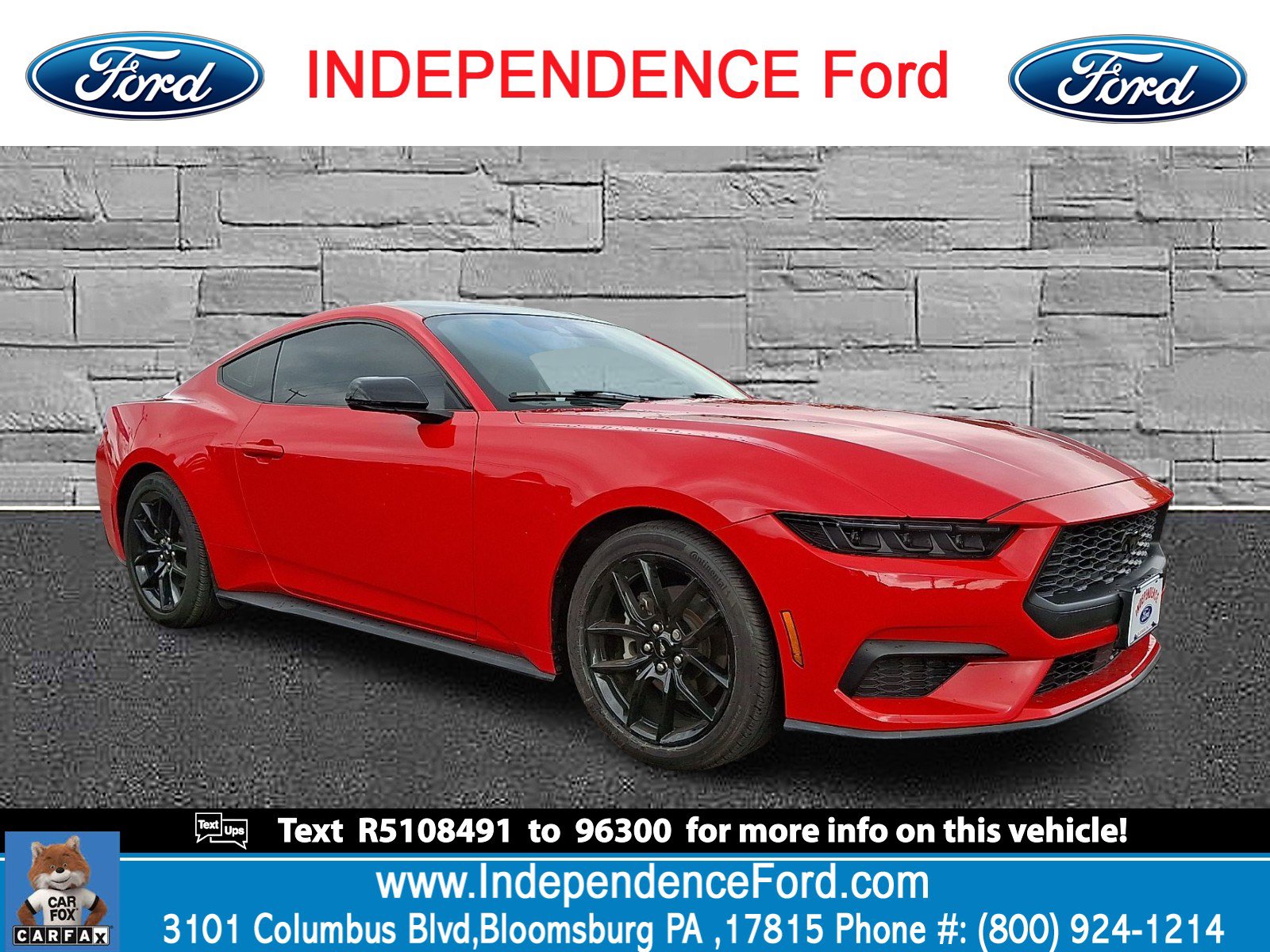 Certified 2024 Ford Mustang Premium RWD image 1